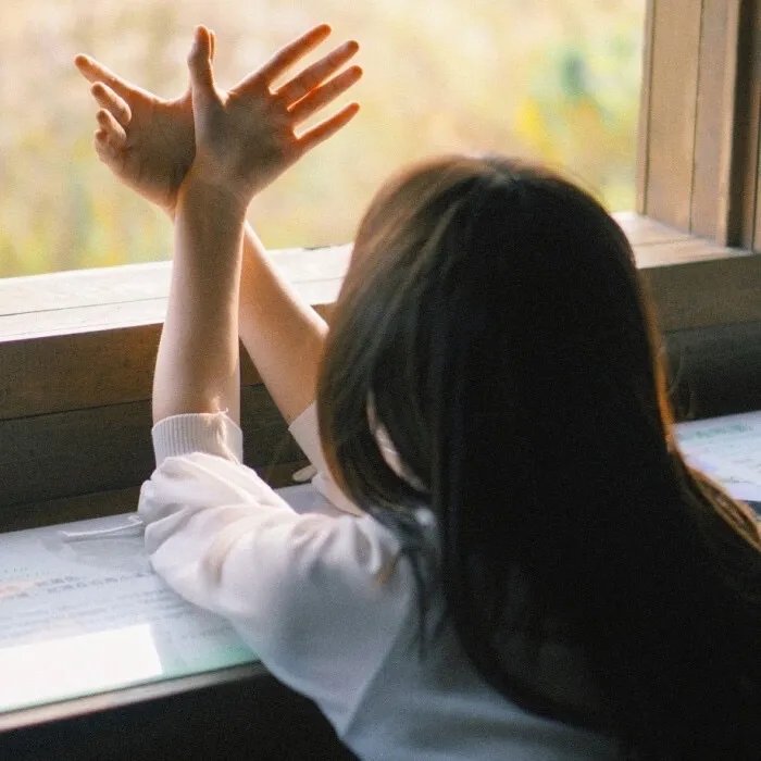 迈耶罗维茨的故事